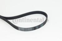 Poly V-riem CONTINENTAL CTAM, u.a. für Alfa Romeo, Citroën, Peugeot, VW, Seat, Volvo, Ford, Hyundai, Mazda, Mini, Suzuki