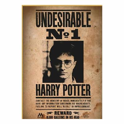 Harry Potter Wanted No1 Harry Potter Puzzel 50 stuks