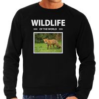 Vos sweater / trui met dieren foto wildlife of the world zwart voor heren