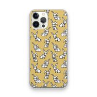 Haas: iPhone 12 Pro Transparant Hoesje