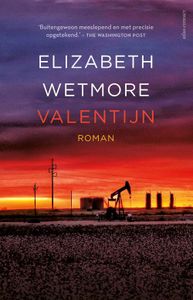 Valentijn - Elizabeth Wetmore - ebook