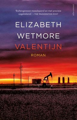 Valentijn - Elizabeth Wetmore - ebook