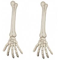 2x Horror kerkhof botten decoratie skelet arm 46 cm   -