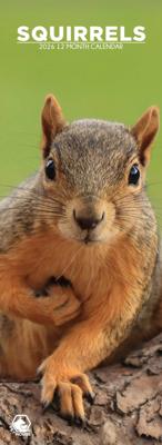 Eekhoorn Slimline Kalender 2026 Eekhoorn Slimline Kalender 2026