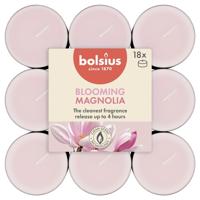 Bolsius geurtheelicht true scents magnolia 18 stuks