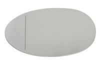 Spiegelglas, buitenspiegel 6102050877371P