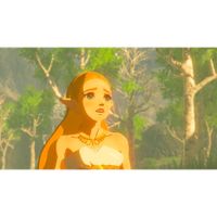 Nintendo The Legend of Zelda - Breath of the Wild - thumbnail