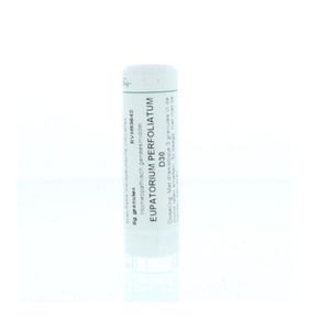 Eupatorium perfoliatum D30