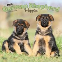 Duitse Herder Puppies Kalender 2026