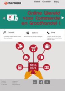 Online wereld voor commercie en groothandel (Hardback)