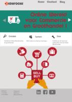Online wereld voor commercie en groothandel (Hardback)