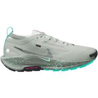 Nike Pegasus Trail 5 GTX Heren