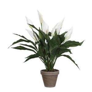 Mica Decorations Spathiphyllum Kunstplant - H50 x Ø40 cm - Wit