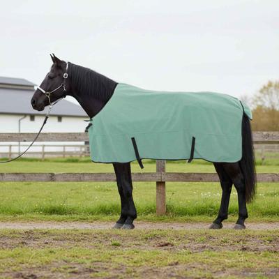 VidaXL Paardendeken speciale groen polyester