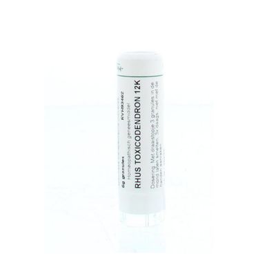 Rhus toxicodendron 12K