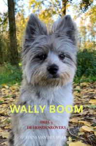 Wally Boom - Hans Van der Meer - ebook
