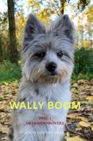 Wally Boom - Hans Van der Meer - ebook