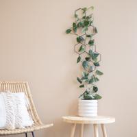 Plantenwandrek - L Plantenwandrek - L