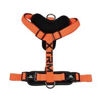 Hondentuig Nayeco x-trm 35-60 x 1,5 cm Oranje Hondentuig Nayeco x-trm 35-60 x 1,5 cm Oranje