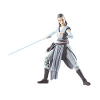 Hasbro Star Wars The Black Series Rey (Jedi Training) - thumbnail