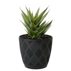 Form Plastic Plantenpot/bloempot New Age - kunststof - zwart - D19 x H17 cm