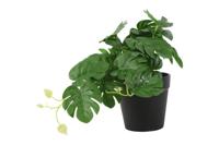 Monstera kunststof 26x22x17 cm groen Countryfield - Countryfield