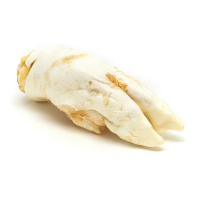 Hondensnoepjes Gloria Voeten