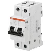 ABB 2CDS272061R0024 S202M-C2UC Zekeringautomaat 2-polig