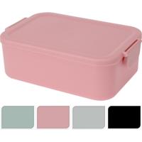 Lunchbox kunststof met clips 20x14x7cm