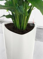 LECHUZA DELTA 30 All-in-One Set Plantenpot Vrijstaand Polypropyleen (PP) Wit Binnen - thumbnail