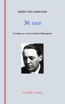 36 uur (Paperback)