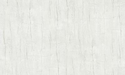 Dutch Wallcoverings Yudashkin 5 10X1,06M - Beige/Zilver