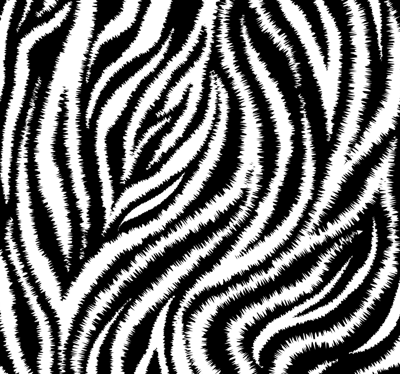 Wandbekleding Klassieke onregelmatige zwart-witte zebra
