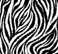 Wandbekleding Klassieke onregelmatige zwart-witte zebra