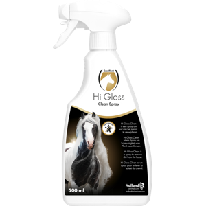 Hi Gloss Clean Spray