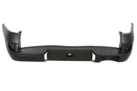 Bumper 5506001301953P