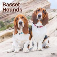 Basset Hound Kalender 2026