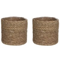 2x stuks naturel bruin rotan planten pot mand van gedraaid jute/riet H16 en D16 cm - thumbnail