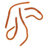 Nep regenwormen 8 cm - bruin - 4x - sticky - Horror/griezel thema