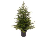 Grandis mini boom d51h75cm groen - Everlands