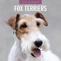 Fox Terrier Kalender 2026