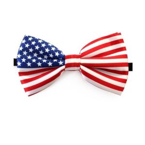 Amerika verkleed vlinderstrikje 12 cm voor dames/heren