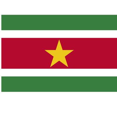 Landen thema vlag Suriname 90 x 150 cm Landen thema vlag Suriname 90 x 150 cm