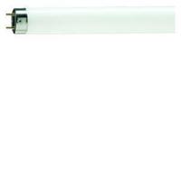 Philips TL Buis 18W/10 UV-A Philips insekt T8 - 5900550