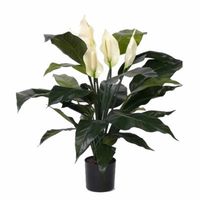 Bellatio flowers & plants Kunstplant Lepelplant - groen - 75 cm - met bloemen Bellatio flowers & plants Kunstplant Lepelplant - groen - 75 cm - met bloemen
