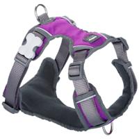 Hondentuigje Red Dingo Dingo 30-47 cm 37-52 cm Paars S