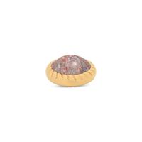 Melano Vivid Rope Steentje Red Leopard Goud