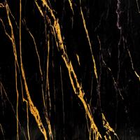 PVC Wandpaneel - Afimera - Ceasar Black Zwart Goud Hoogglans 280x120x0.3cm
