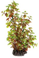 Superfish Art Plant Rotala 25cm - Onderhoudsvrij en Visveilig voor Aquarium