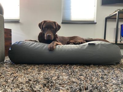 Dog's Companion® Hondenbed muisgrijs leather look superlarge